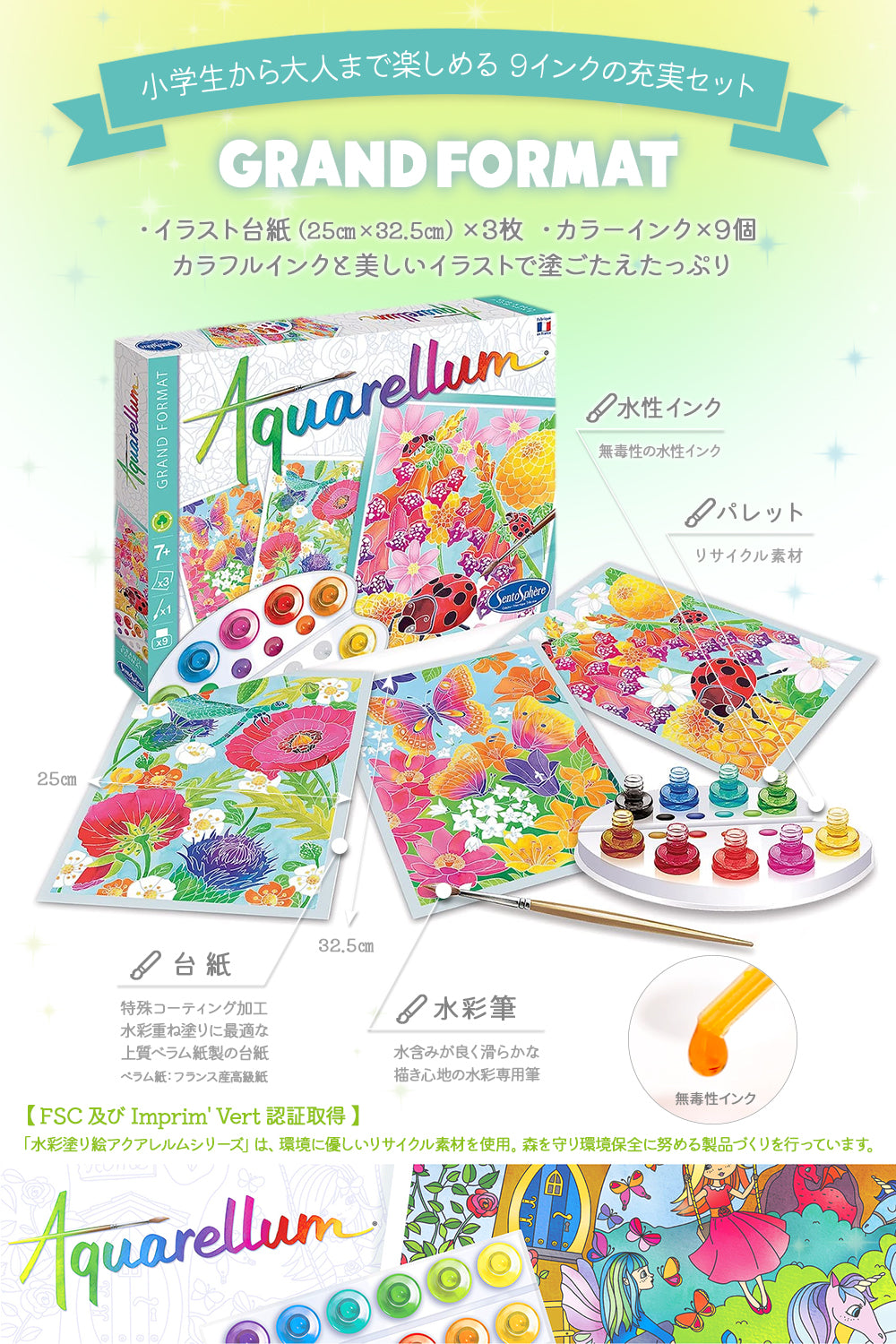 水彩ぬりえ セット フランス製 【イラスト イルカと海】AQUARELLUM STANDARD アクアレルム スタンダード - 株式会社アールエンタープライズ