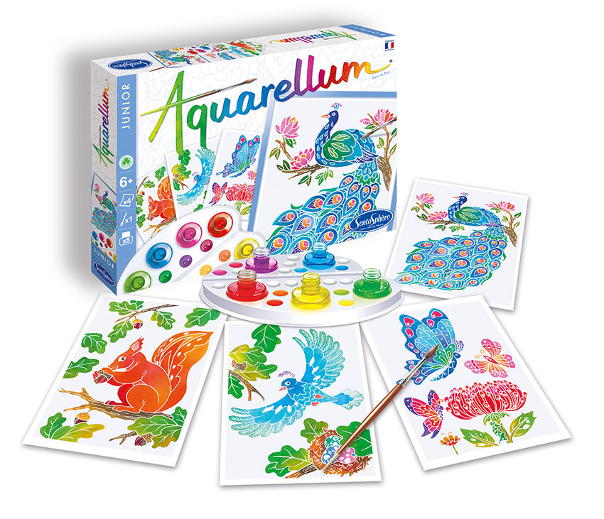 AQUARELLUM アクアレルム 水彩 塗り絵 セット 絵の具セット 子ども 大人 フランス製塗り絵 （イラスト 公園のいきもの） - 株式会社アールエンタープライズ